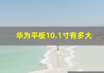 华为平板10.1寸有多大