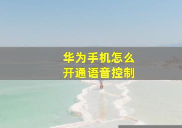 华为手机怎么开通语音控制