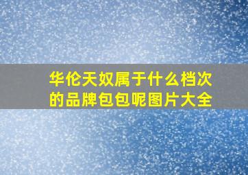 华伦天奴属于什么档次的品牌包包呢图片大全