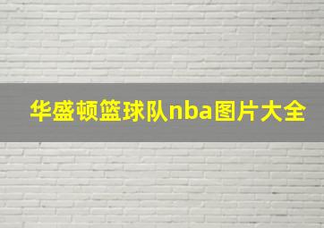 华盛顿篮球队nba图片大全