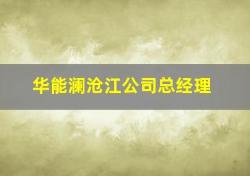 华能澜沧江公司总经理