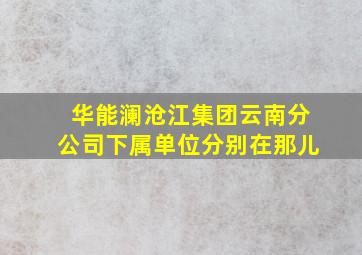 华能澜沧江集团云南分公司下属单位分别在那儿