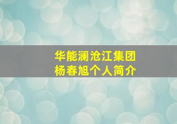 华能澜沧江集团杨春旭个人简介