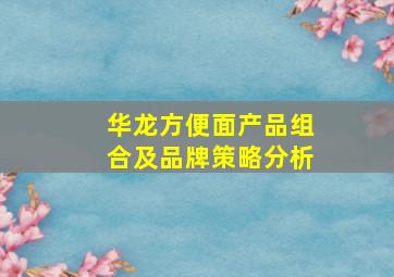 华龙方便面产品组合及品牌策略分析