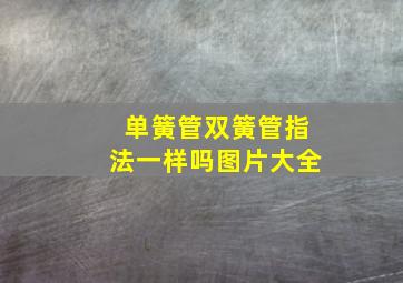 单簧管双簧管指法一样吗图片大全