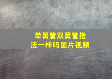 单簧管双簧管指法一样吗图片视频