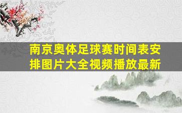 南京奥体足球赛时间表安排图片大全视频播放最新