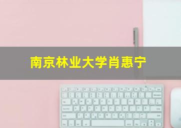 南京林业大学肖惠宁