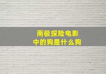 南极探险电影中的狗是什么狗