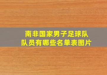 南非国家男子足球队队员有哪些名单表图片