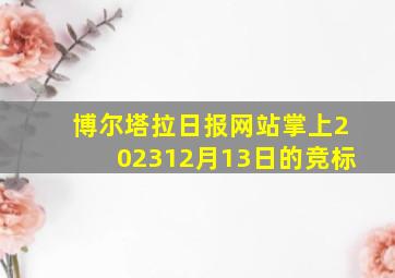 博尔塔拉日报网站掌上202312月13日的竞标