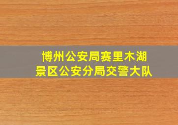 博州公安局赛里木湖景区公安分局交警大队