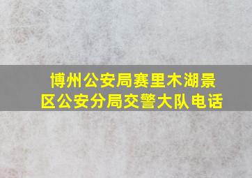 博州公安局赛里木湖景区公安分局交警大队电话