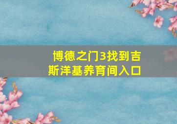 博德之门3找到吉斯洋基养育间入口