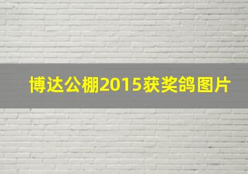 博达公棚2015获奖鸽图片