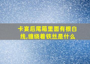 卡宴后尾箱里面有根白线,缠绕着铁丝是什么