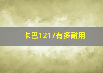 卡巴1217有多耐用