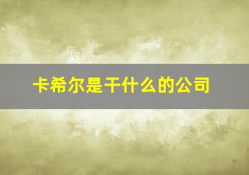 卡希尔是干什么的公司