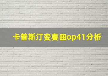 卡普斯汀变奏曲op41分析