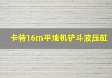 卡特16m平地机铲斗液压缸