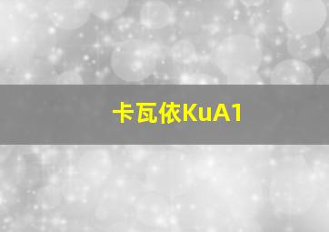 卡瓦依KuA1