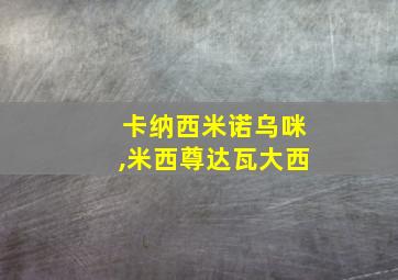 卡纳西米诺乌咪,米西尊达瓦大西