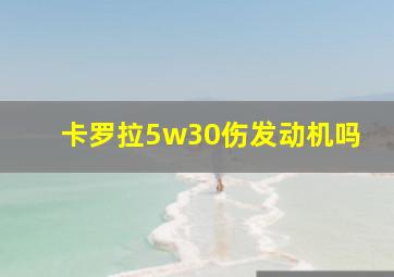 卡罗拉5w30伤发动机吗