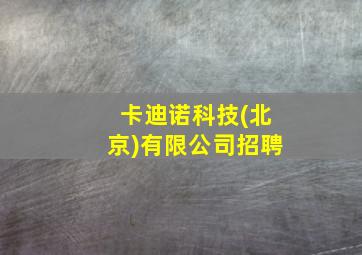 卡迪诺科技(北京)有限公司招聘