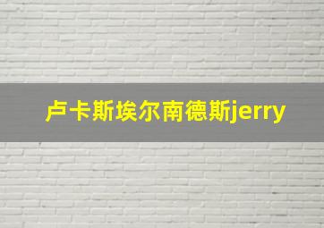 卢卡斯埃尔南德斯jerry