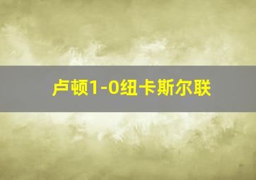 卢顿1-0纽卡斯尔联