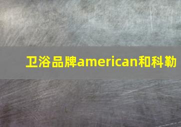 卫浴品牌american和科勒