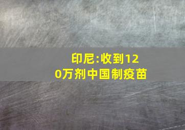 印尼:收到120万剂中国制疫苗