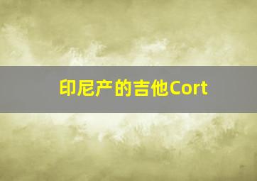 印尼产的吉他Cort