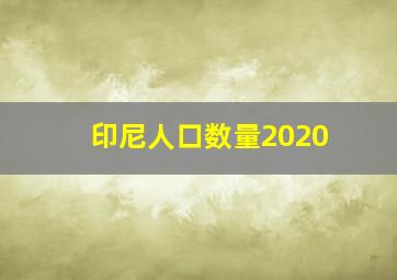 印尼人口数量2020