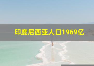 印度尼西亚人口1969亿