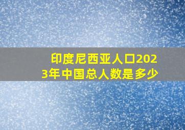 印度尼西亚人口2023年中国总人数是多少