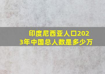 印度尼西亚人口2023年中国总人数是多少万