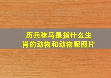 历兵秣马是指什么生肖的动物和动物呢图片