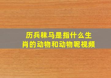 历兵秣马是指什么生肖的动物和动物呢视频