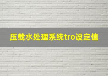 压载水处理系统tro设定值