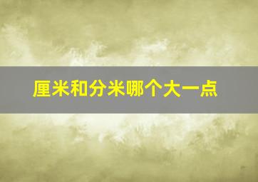 厘米和分米哪个大一点