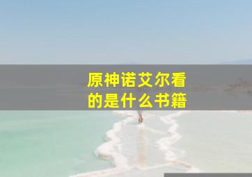 原神诺艾尔看的是什么书籍