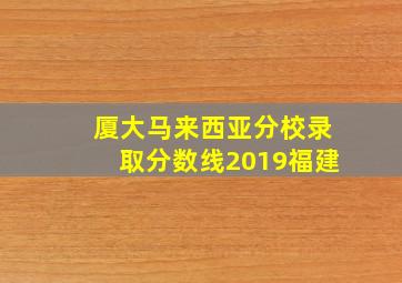 厦大马来西亚分校录取分数线2019福建