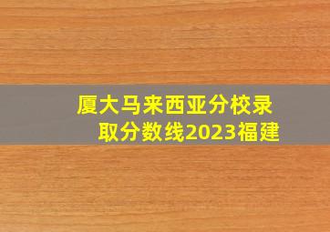 厦大马来西亚分校录取分数线2023福建