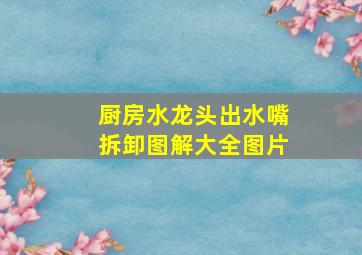 厨房水龙头出水嘴拆卸图解大全图片