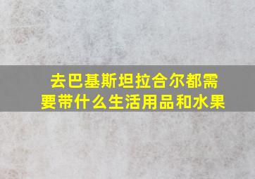 去巴基斯坦拉合尔都需要带什么生活用品和水果