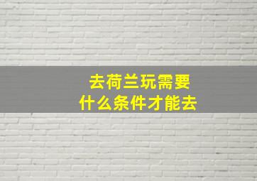 去荷兰玩需要什么条件才能去