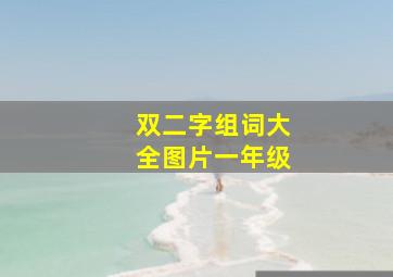 双二字组词大全图片一年级