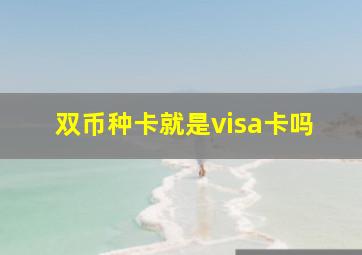 双币种卡就是visa卡吗