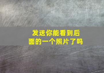 发送你能看到后面的一个照片了吗